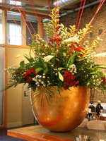 Hoppe Schiedam