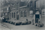 Hoppe Schiedam